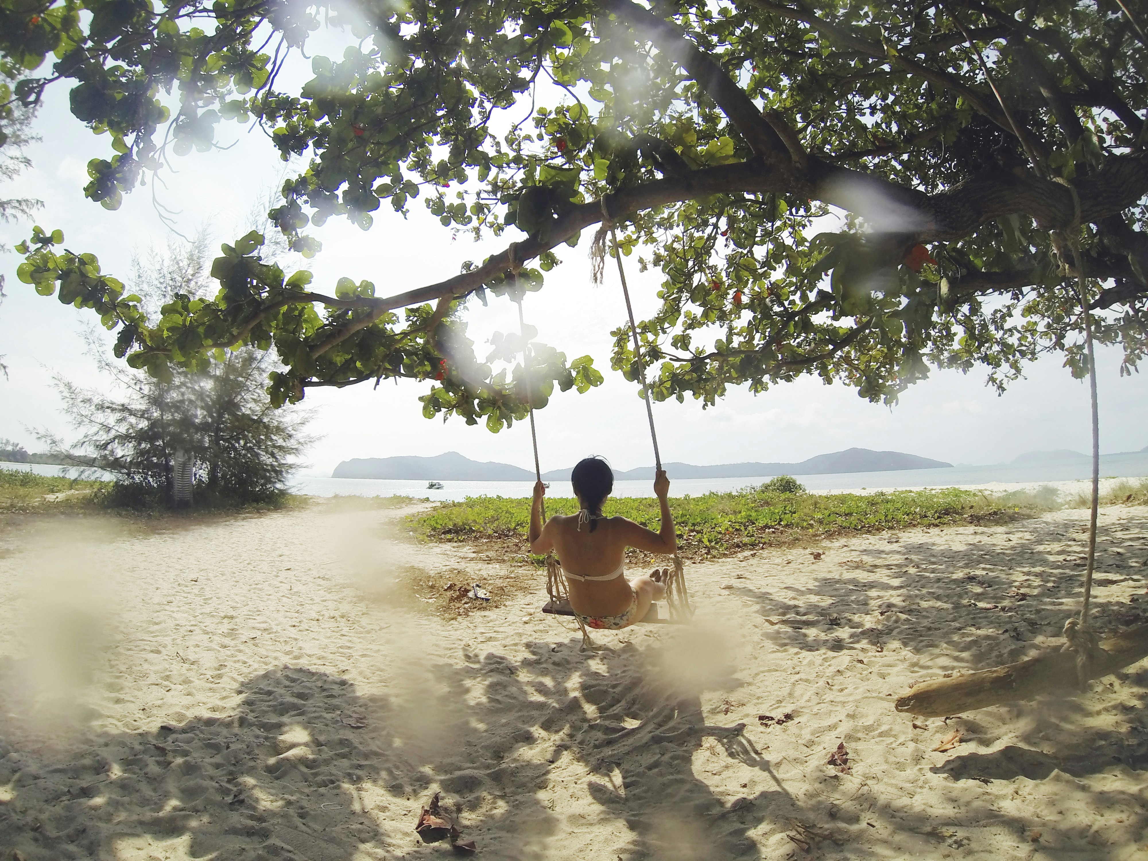 woman sitting on swing under green tree facing body of water at daytime